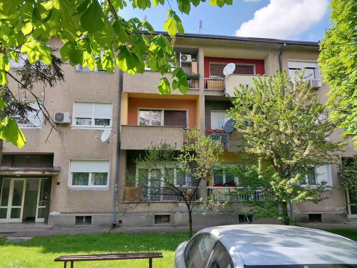 Apartmani Sofronic Loznica 1 Екстериор снимка